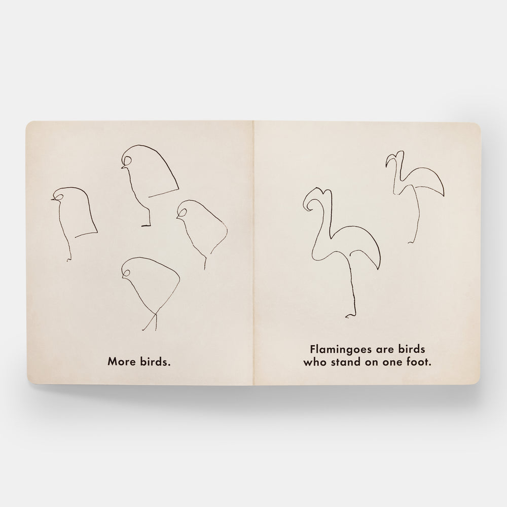 Birds & Other Animals