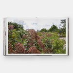 Brooklyn Bridge Park: Michael Van Valkenburgh Associates