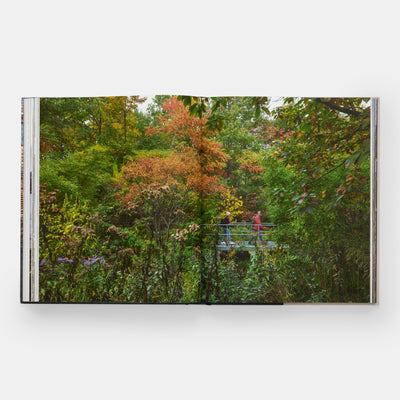 Brooklyn Bridge Park: Michael Van Valkenburgh Associates