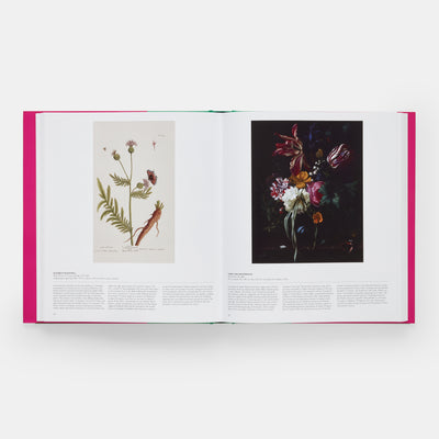 Butterfly: Exploring the World of Lepidoptera