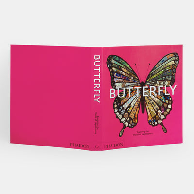Butterfly: Exploring the World of Lepidoptera