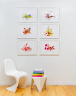 Flower Color Theory