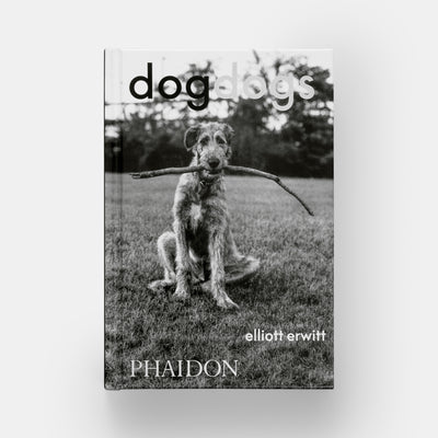 DogDogs