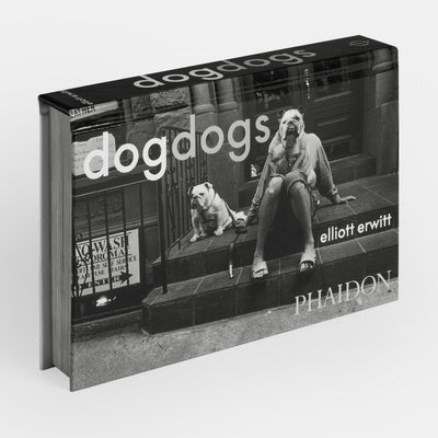 DogDogs