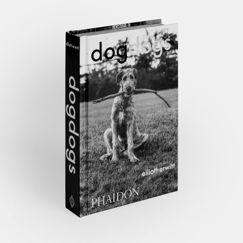 DogDogs