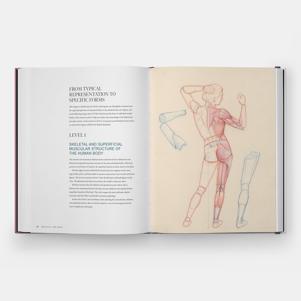 Drawing the Body: Reading the Human Form in Art
