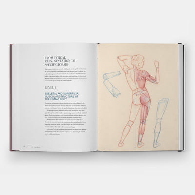 Drawing the Body: Reading the Human Form in Art