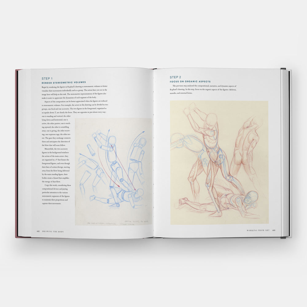 Drawing the Body: Reading the Human Form in Art