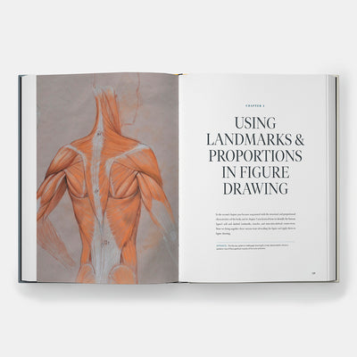 Dynamic Human Anatomy