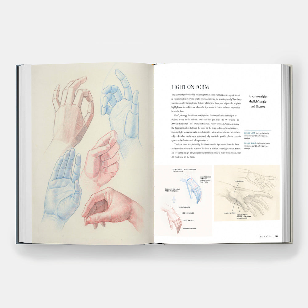 Dynamic Human Anatomy