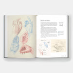 Dynamic Human Anatomy