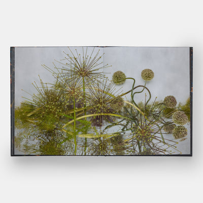 Emily Thompson Flowers