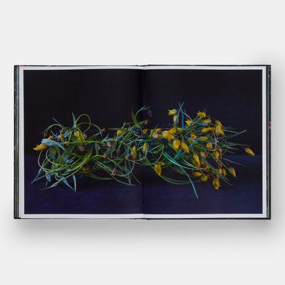 Emily Thompson Flowers