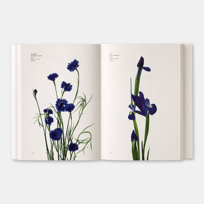 Flower Color Guide