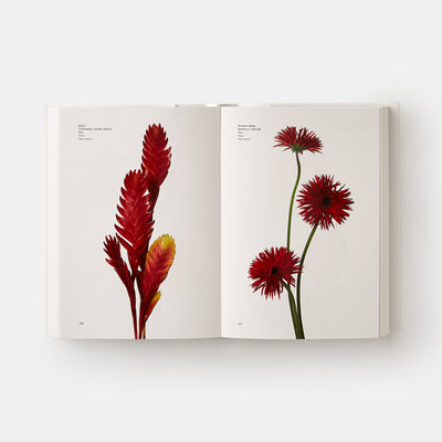 Flower Colour Guide
