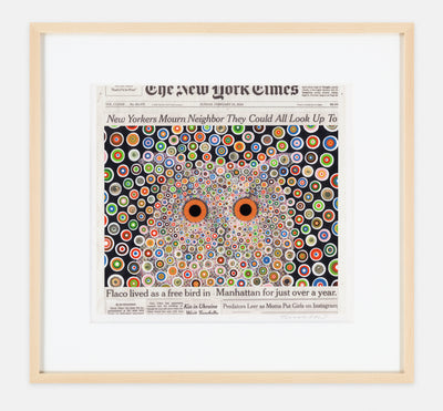 Flaco, February 25, 2024