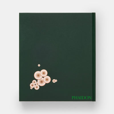Fungi: The World of Mushrooms