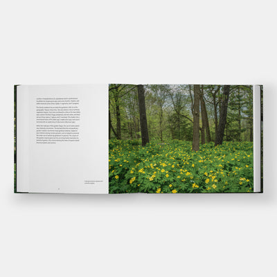 Garden Portraits: Experiences of Natural Beauty