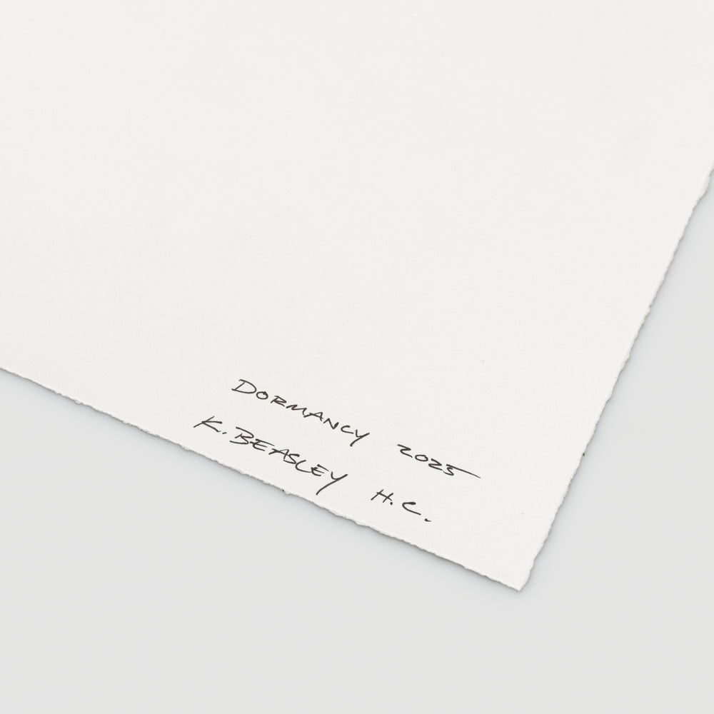 Kevin Beasley Full Suite