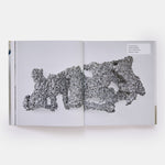 Lynda Benglis
