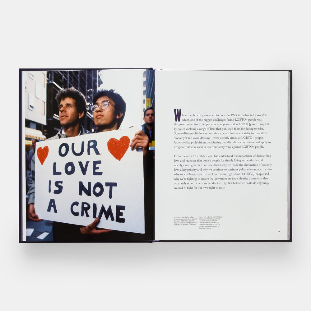 Making the Case for Equality: 50 Years of Legal Milestones in LGBTQ History