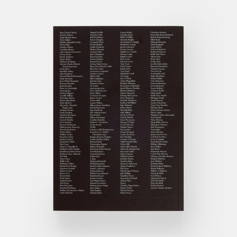 Meaning Matter Memory: Selections from the Studio Museum in Harlem Collection