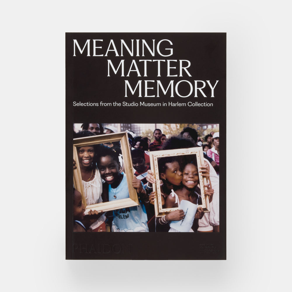 Meaning Matter Memory: Selections from the Studio Museum in Harlem Collection