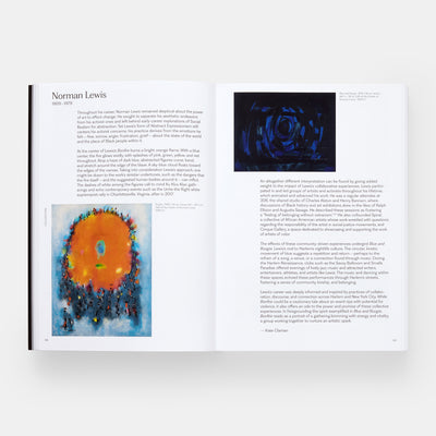 Meaning Matter Memory: Selections from the Studio Museum in Harlem Collection