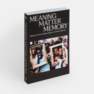 Meaning Matter Memory: Selections from the Studio Museum in Harlem Collection