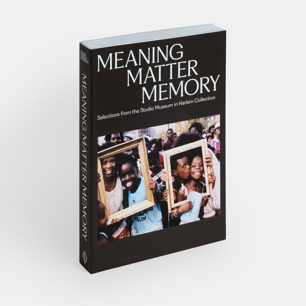 Meaning Matter Memory: Selections from the Studio Museum in Harlem Collection
