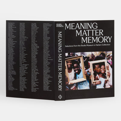 Meaning Matter Memory: Selections from the Studio Museum in Harlem Collection