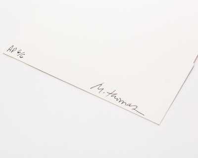 Jet Blue #11 and Left Behind