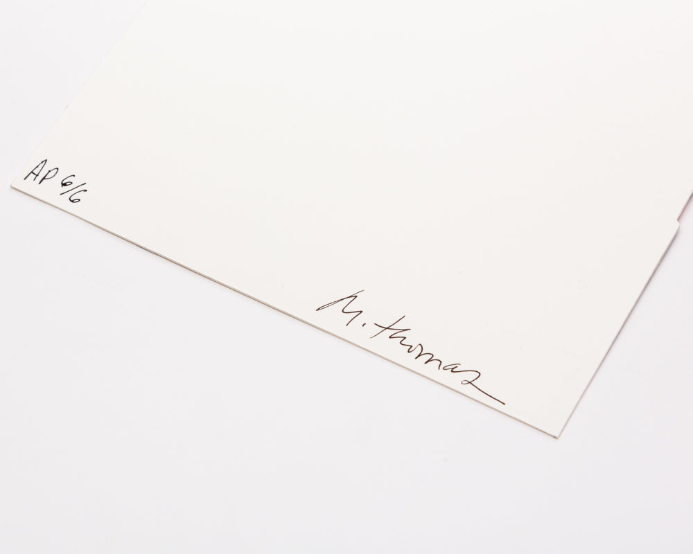 Jet Blue #11 and Left Behind