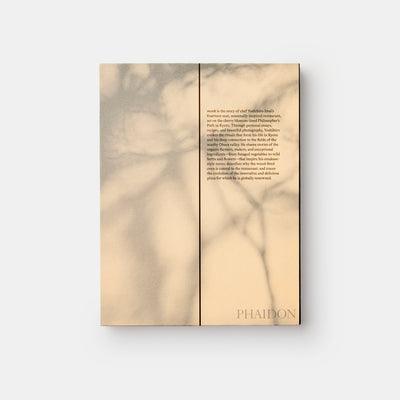 monk: Light and Shadow on the Philosopher's Path