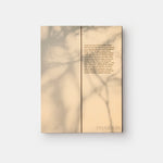 monk: Light and Shadow on the Philosopher's Path