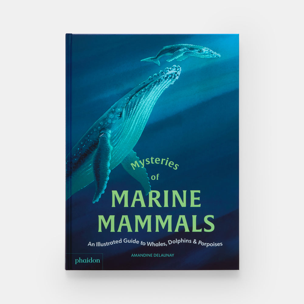 Mysteries of Marine Mammals: An Illustrated Guide to Whales, Dolphins, and Porpoises