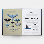 Mysteries of Marine Mammals: An Illustrated Guide to Whales, Dolphins, and Porpoises
