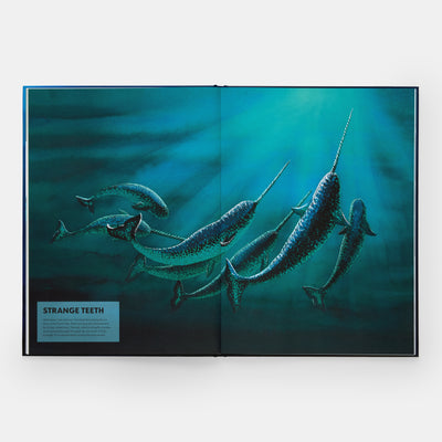 Mysteries of Marine Mammals: An Illustrated Guide to Whales, Dolphins, and Porpoises