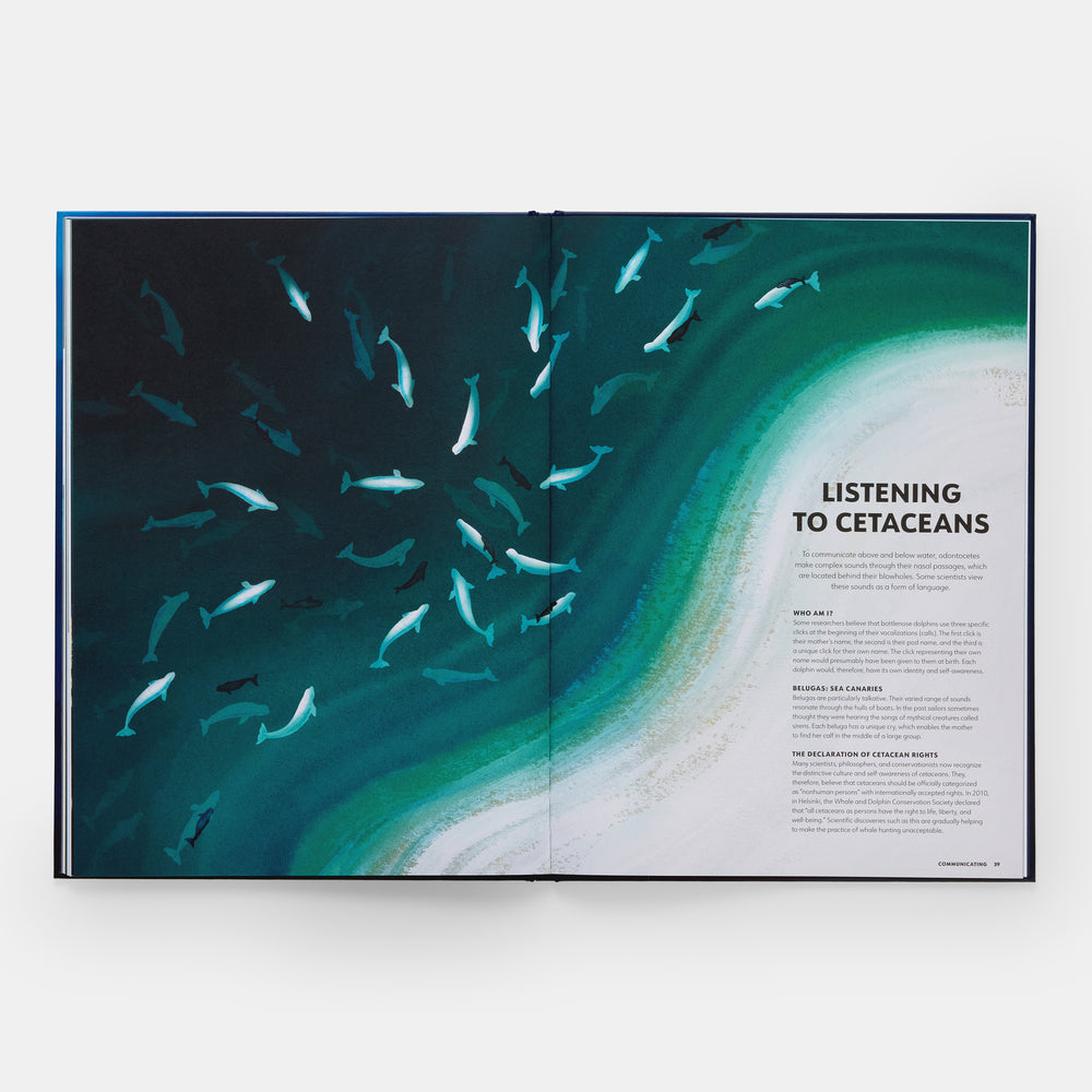 Mysteries of Marine Mammals: An Illustrated Guide to Whales, Dolphins, and Porpoises