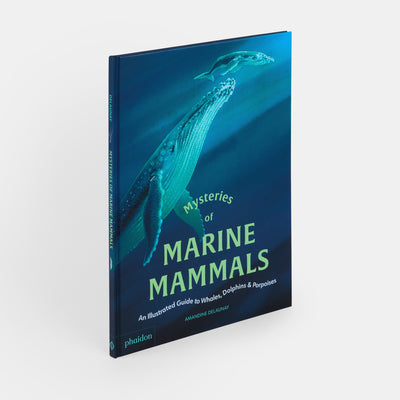Mysteries of Marine Mammals: An Illustrated Guide to Whales, Dolphins, and Porpoises