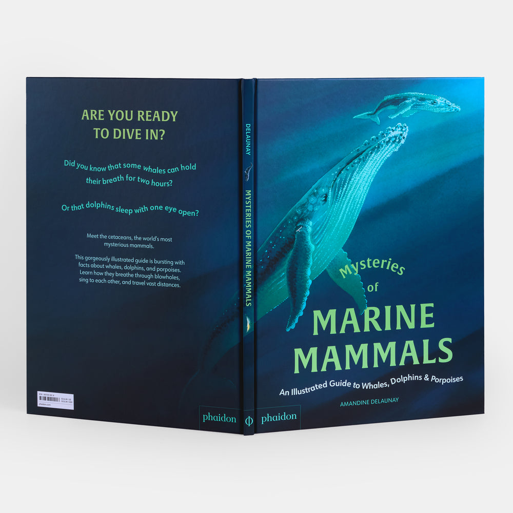 Mysteries of Marine Mammals: An Illustrated Guide to Whales, Dolphins, and Porpoises