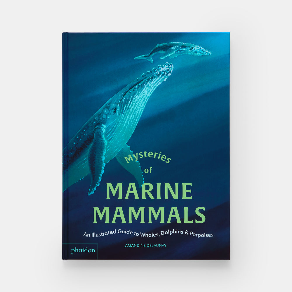 Mysteries of Marine Mammals: An Illustrated Guide to Whales, Dolphins, and Porpoises