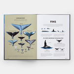 Mysteries of Marine Mammals: An Illustrated Guide to Whales, Dolphins, and Porpoises