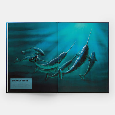 Mysteries of Marine Mammals: An Illustrated Guide to Whales, Dolphins, and Porpoises