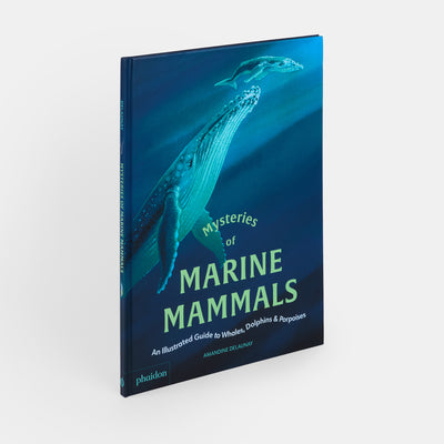 Mysteries of Marine Mammals: An Illustrated Guide to Whales, Dolphins, and Porpoises