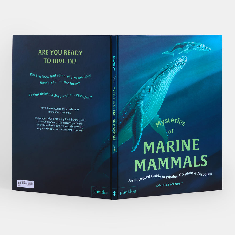 Mysteries of Marine Mammals: An Illustrated Guide to Whales, Dolphins, and Porpoises