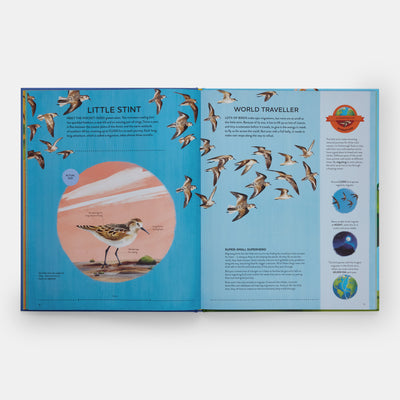 Nature's Tiny Champions: The Big Book of Little Creatures Doing Mighty Things