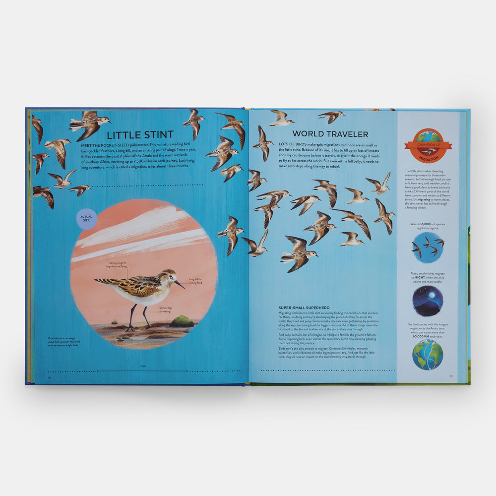 Nature's Tiny Champions: The Big Book of Little Creatures Doing Mighty Things