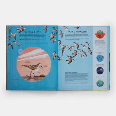 Nature's Tiny Champions: The Big Book of Little Creatures Doing Mighty Things
