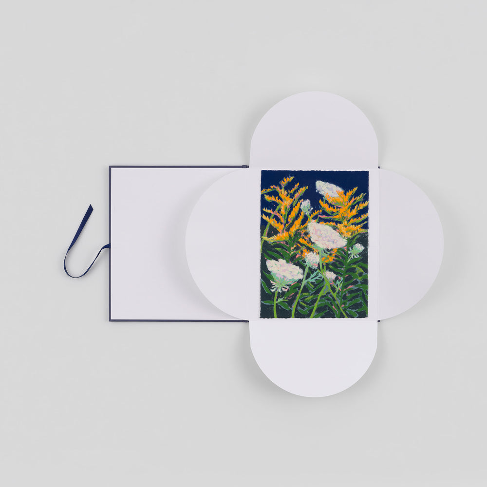 Goldenrod and Queen Anne's Lace